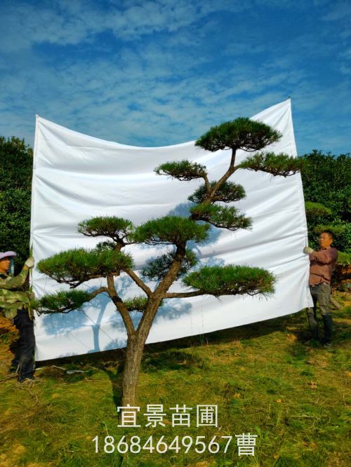 微(wēi)信圖片_20201106090421.jpg