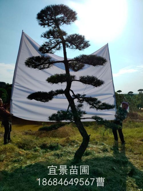 微(wēi)信圖片_20201106090434.jpg