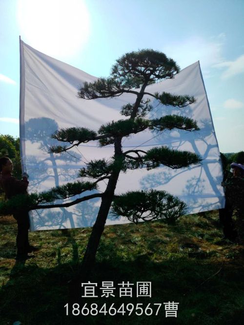 微(wēi)信圖片_20201106090354.jpg