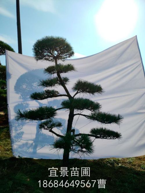 微(wēi)信圖片_20201106090406.jpg