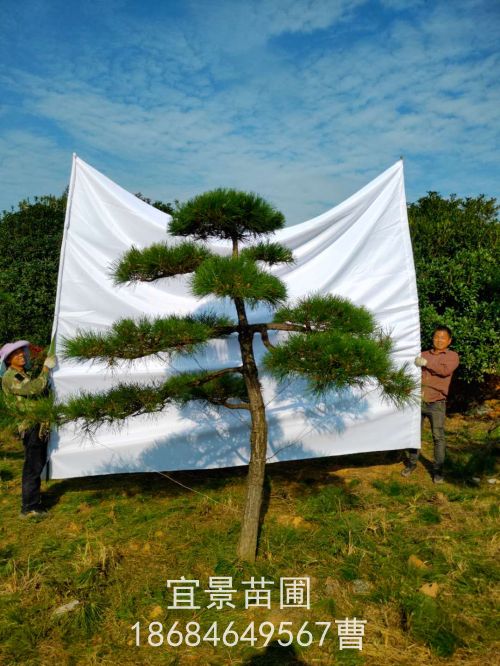 微(wēi)信圖片_20201106090411.jpg