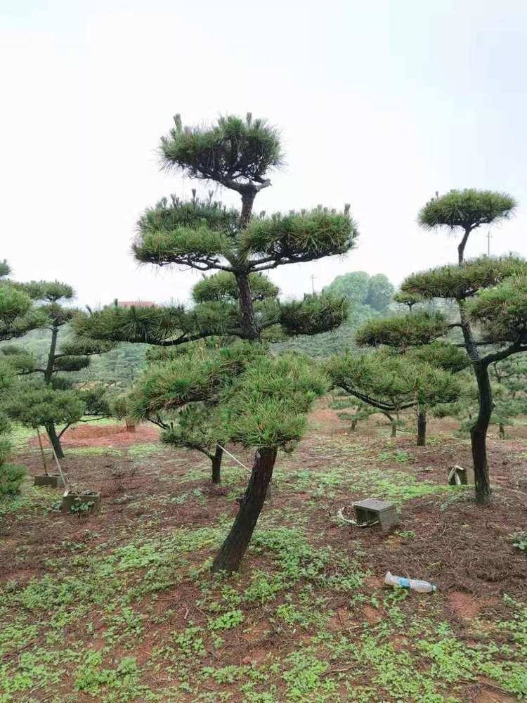 微(wēi)信圖片_20210515083753.jpg