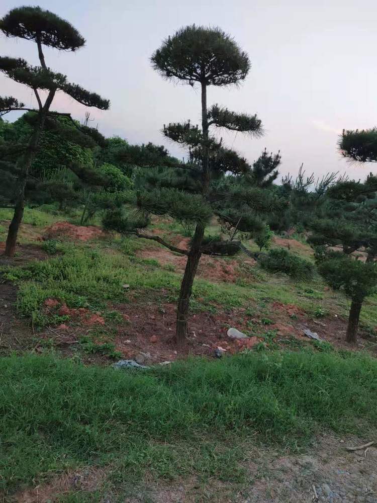 微(wēi)信圖片_20210515083802.jpg