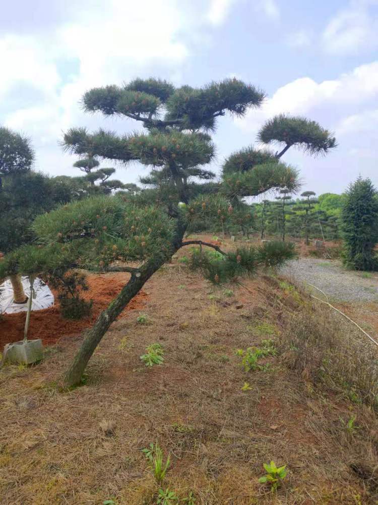 微(wēi)信圖片_20210426144610.jpg