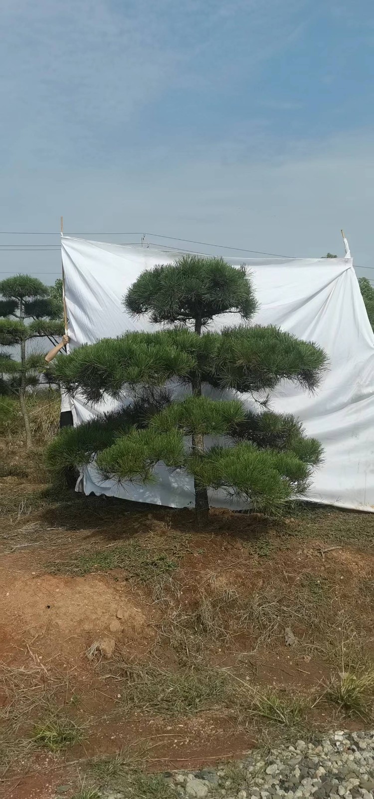 微(wēi)信圖片_20221202115241.jpg