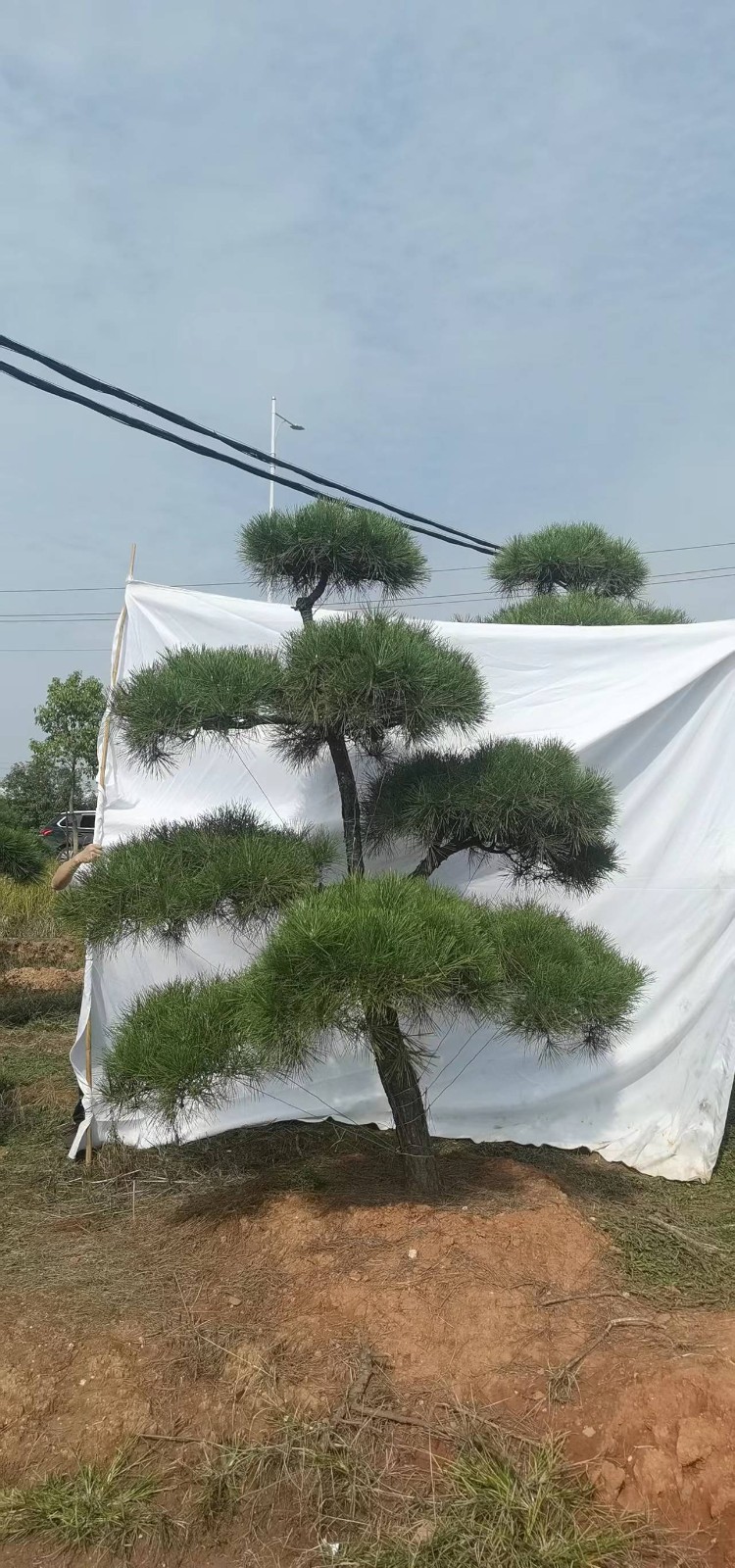 微(wēi)信圖片_20221202115247.jpg